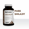 Satvam Pure Shilajit Supplement