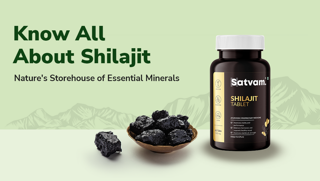 Know All About Shilajit- Nature's Storehouse of Essential Minerals 