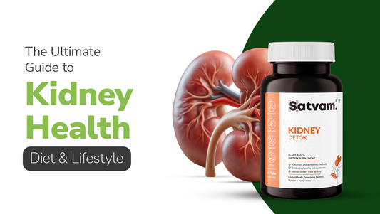 Diet and Lifestyle Tips for Kidney Health