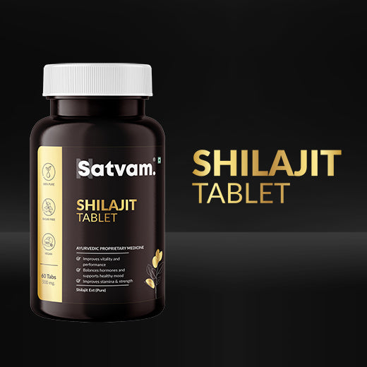 Shilajit Supplement
